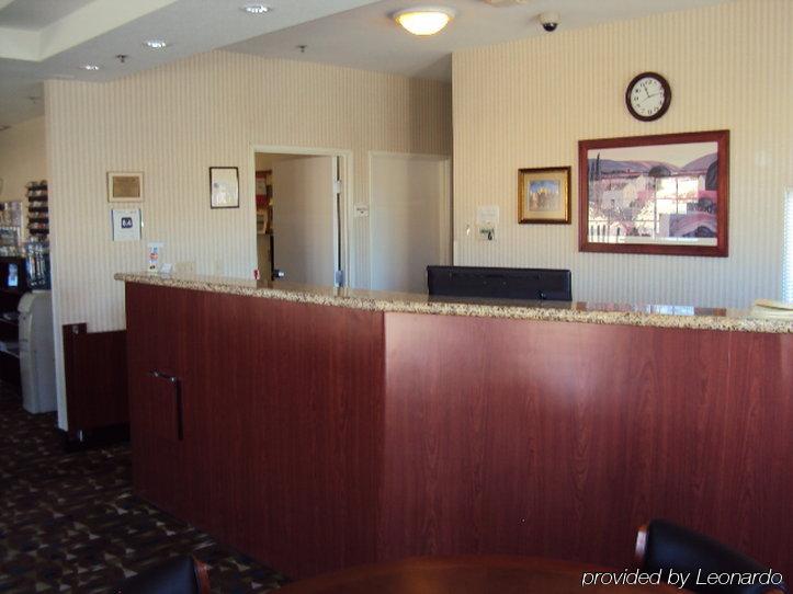 טוונטיניין פאלמס Starlight Inn & Suites Motel 29 Palms Joshua Tree National Park מראה חיצוני תמונה